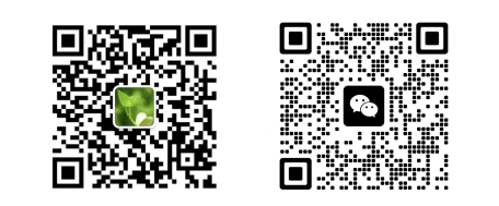 1689559592017.jpg