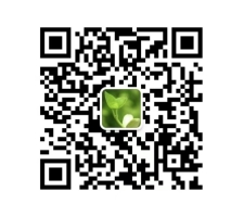 792c190189de414abc29bac4009699dd.jpg