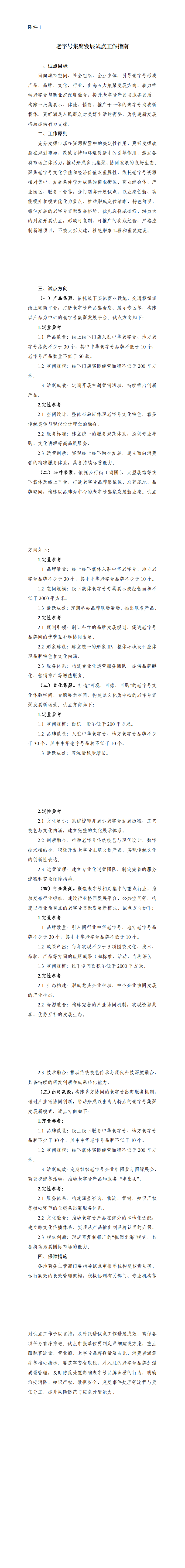 1.老字号集聚发展试点工作指南_00.png
